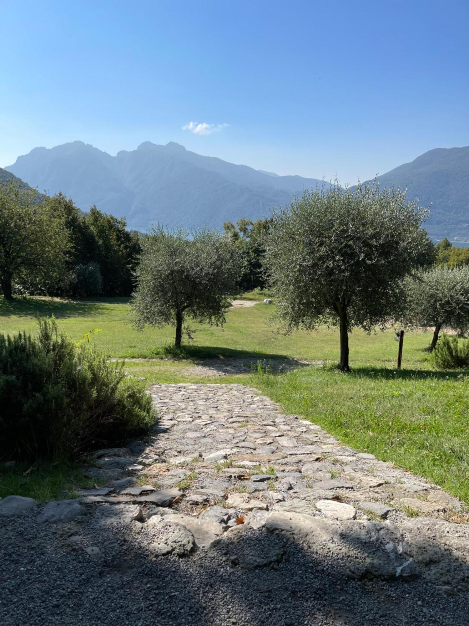 Agriturismo La Selvaggia مانديلو ديل لاريو المظهر الخارجي الصورة