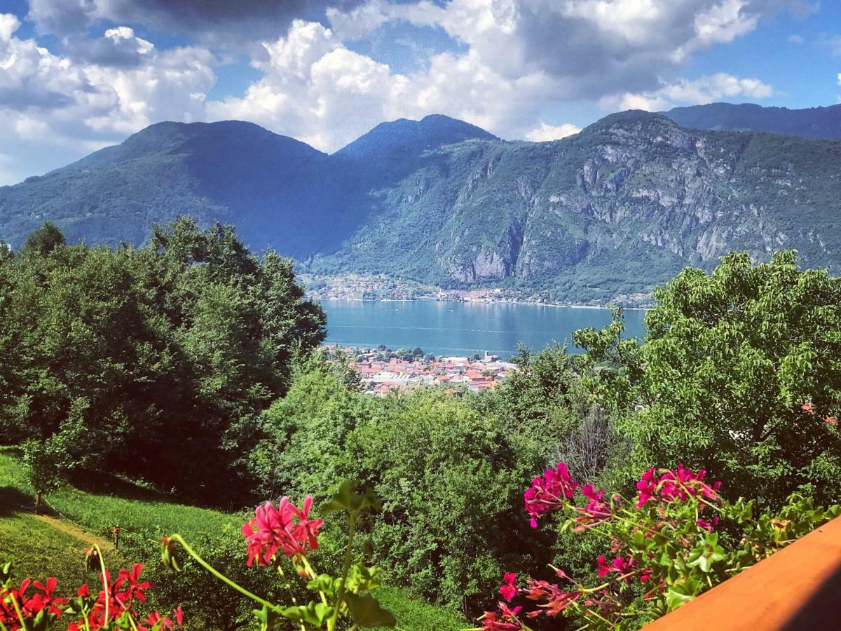 Agriturismo La Selvaggia مانديلو ديل لاريو المظهر الخارجي الصورة